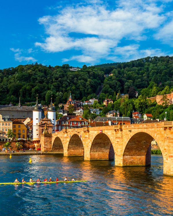 Gutachter in Heidelberg
